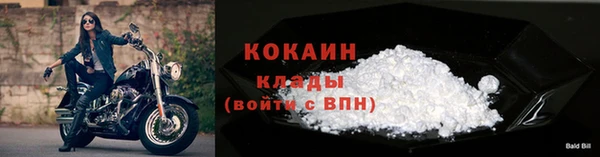 гашик Белокуриха