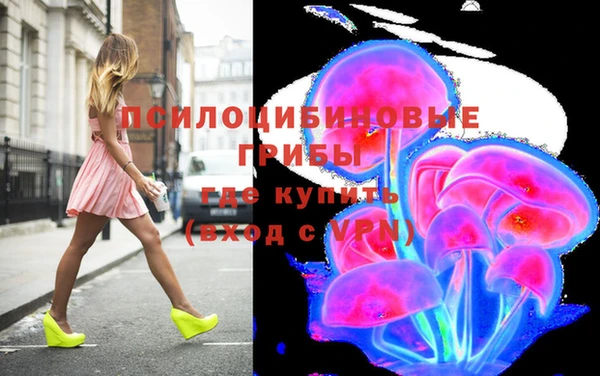 гашик Белокуриха