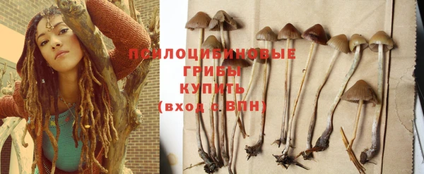 гашик Белокуриха
