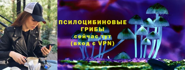 стафф Рославль