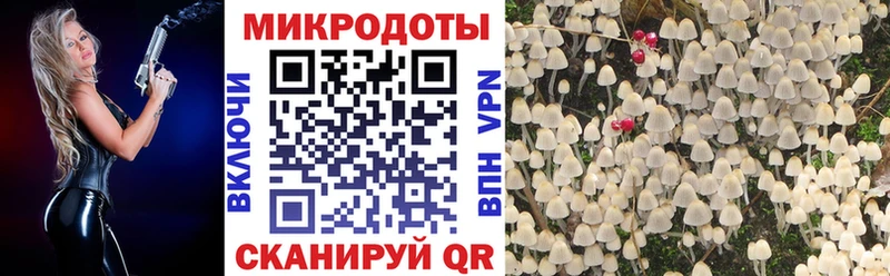 Галлюциногенные грибы мухоморы  Щёкино 